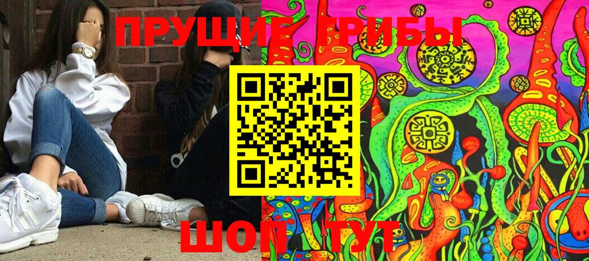 продажа наркотиков  Галлюциногенные грибы мухоморы  Вход с VPN  Балтийск 